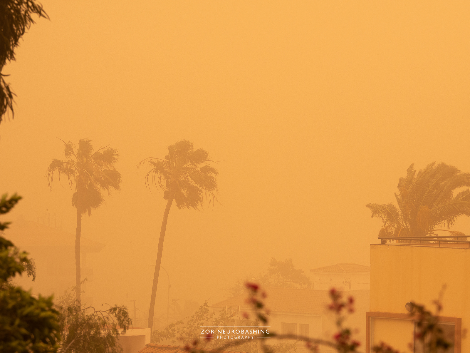 Update on the Duststorm + Fires